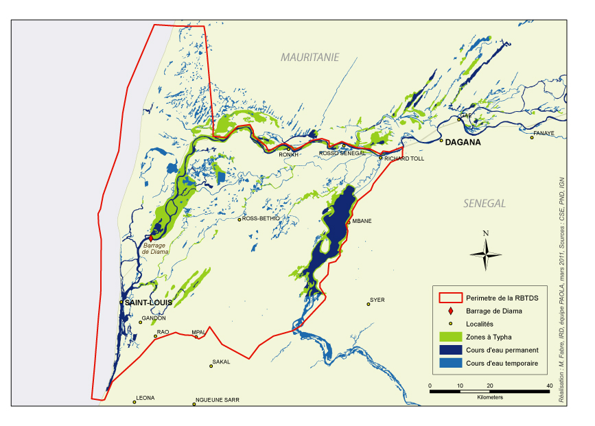 SIRENA Database — IRD / LEIDI